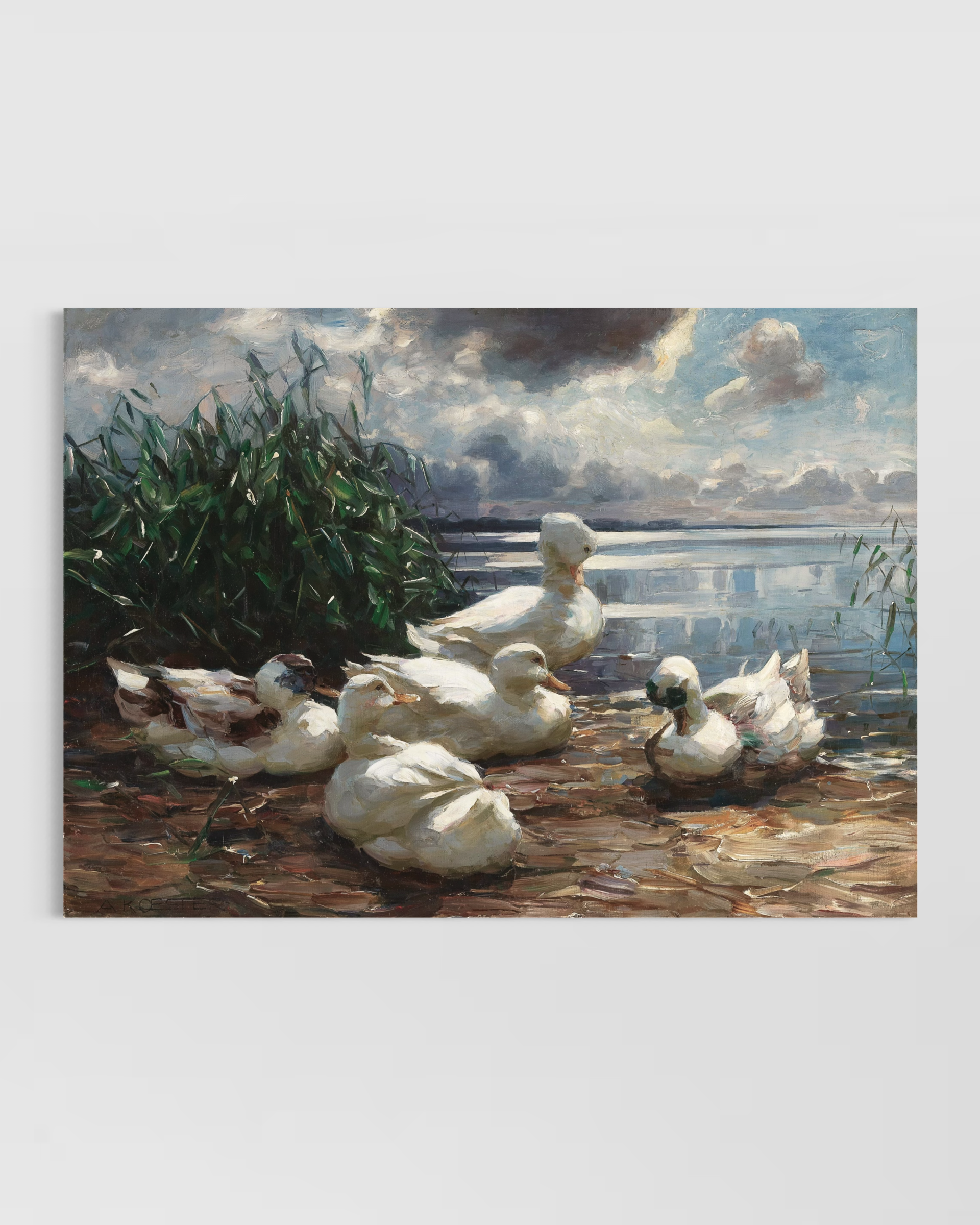 Ducks Poster