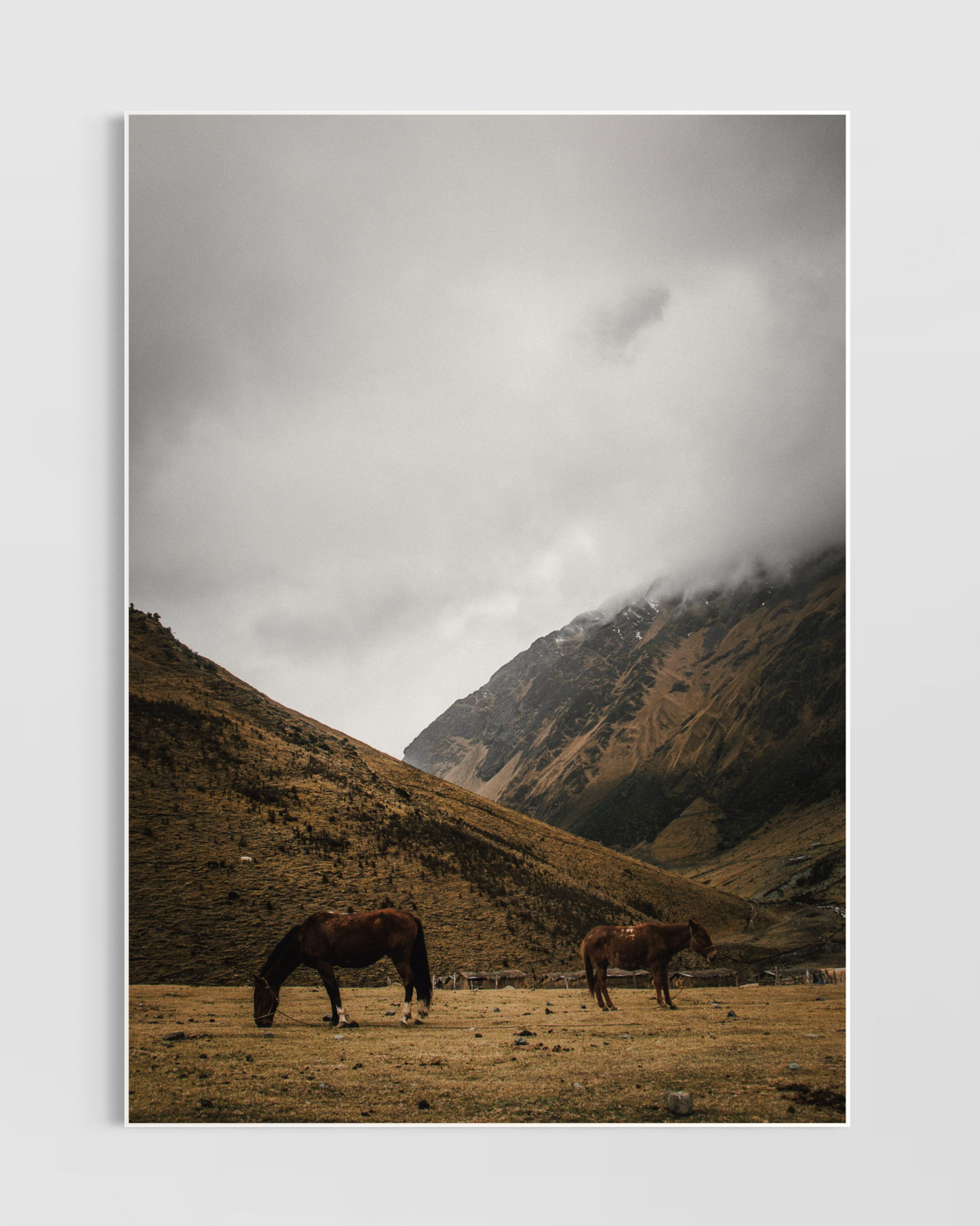 Rustic Farmhouse No.2 Poster