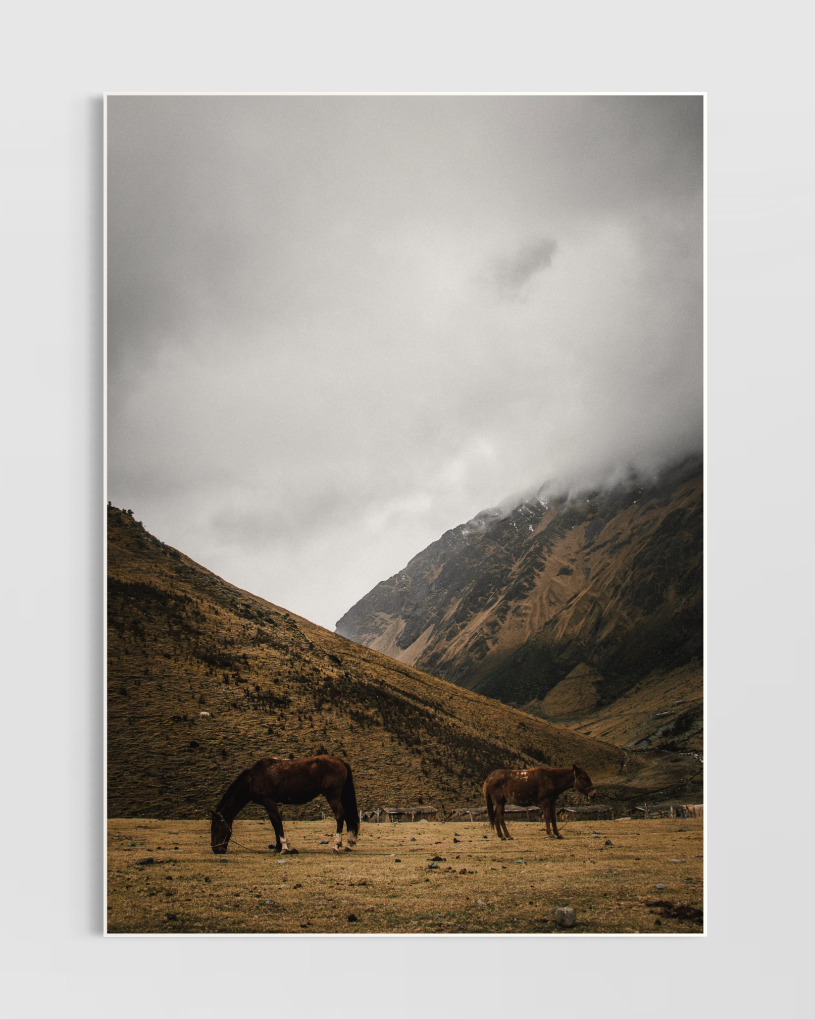 Rustic Farmhouse No.2 Poster