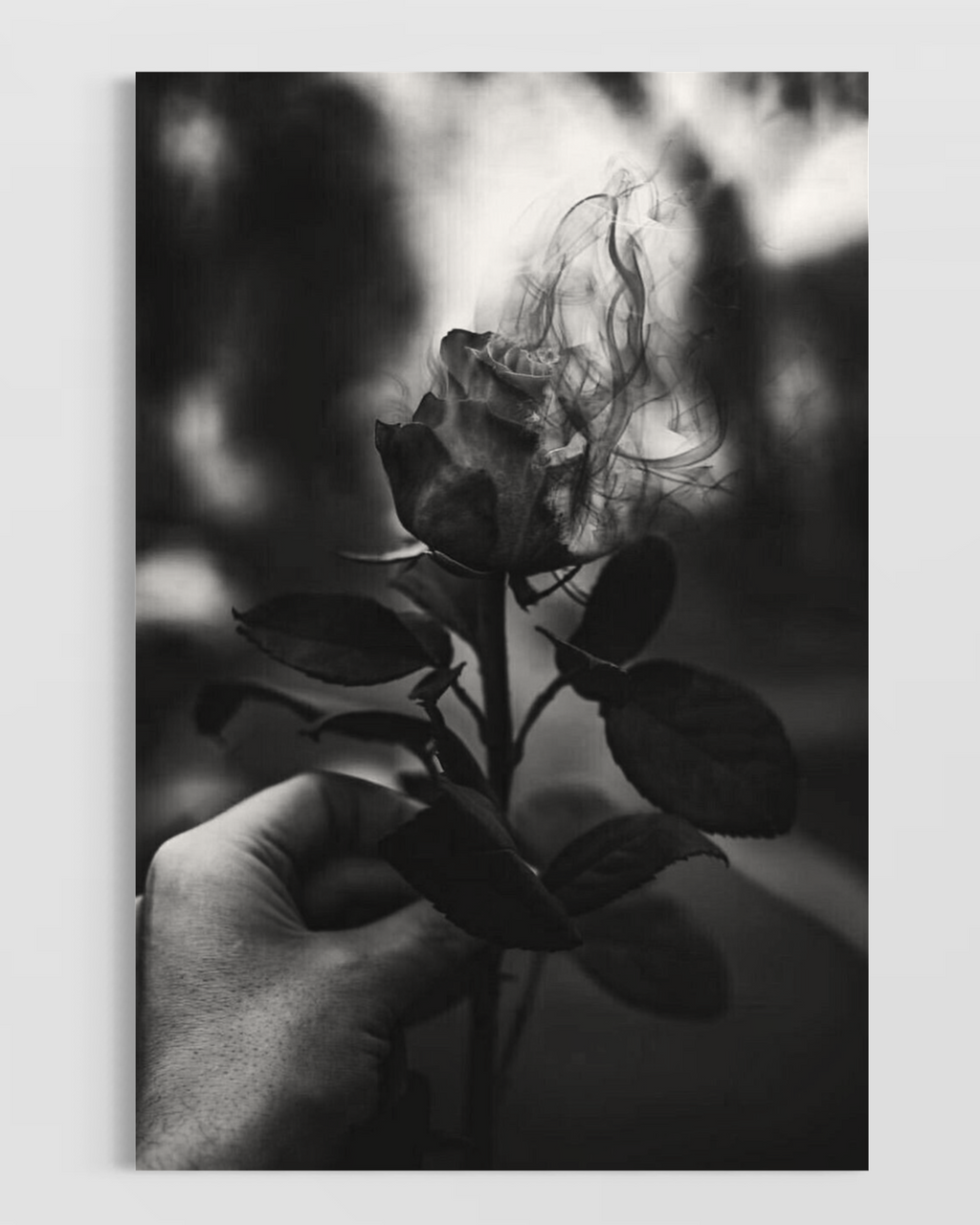 Moda & Lifestyle No.26 Poster