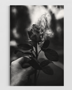 Moda & Lifestyle No.26 Poster